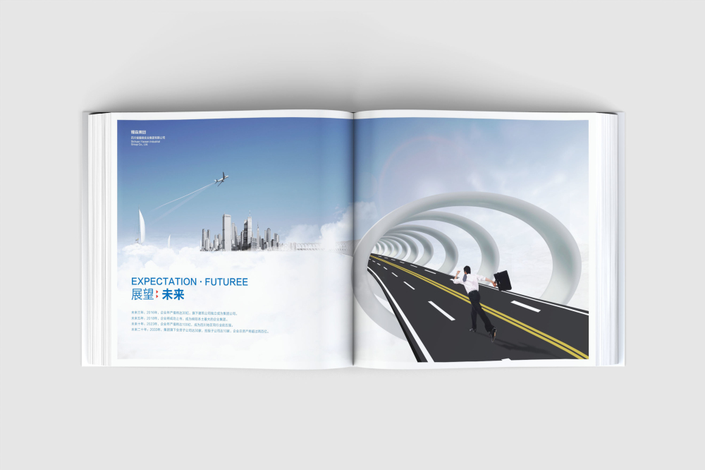 安岳县画册设计