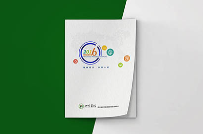 安岳县画册设计：以场景为媒，打造城市体验的全新入口